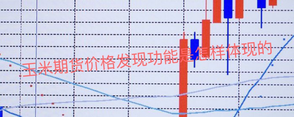 玉米期货价格发现功能是怎样体现的