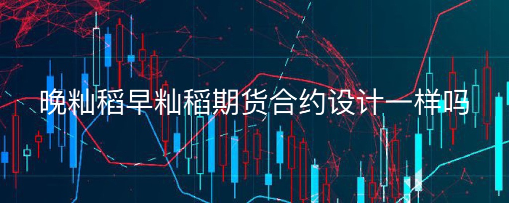 晚籼稻早籼稻期货合约设计一样吗